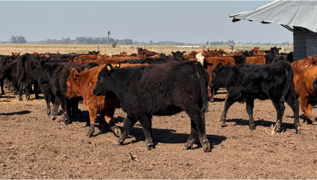 <span class='visually-hidden'>Load video: </span>1